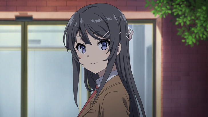 I love Sakurajima Mai